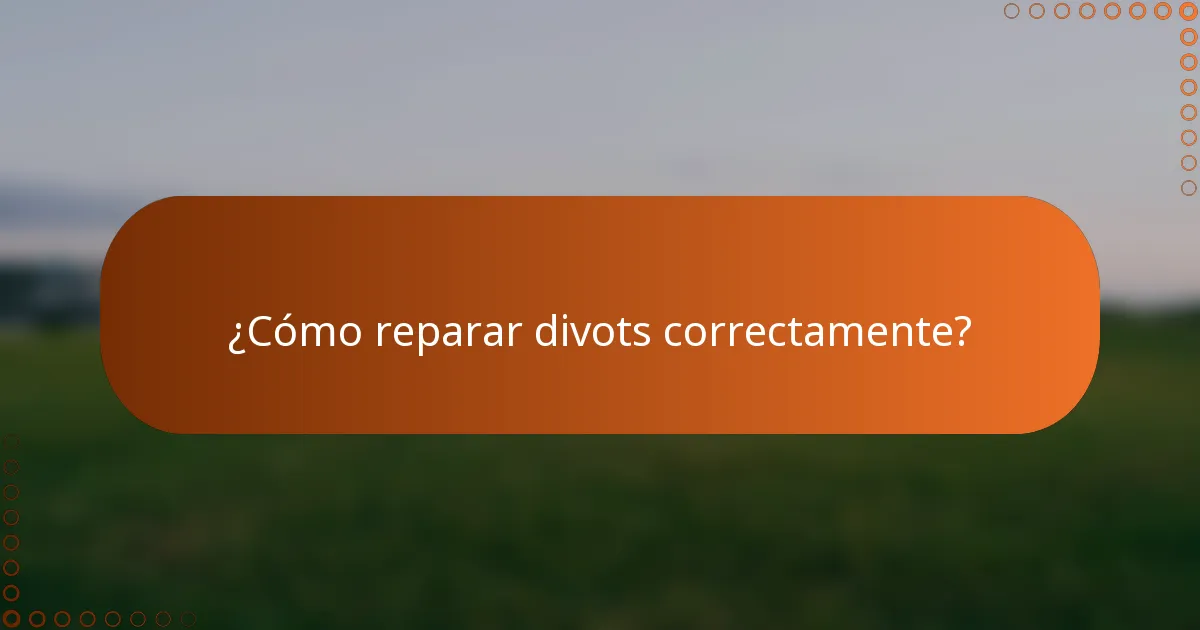 ¿Cómo reparar divots correctamente?